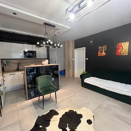 Apartment Towarowa - Milionowa 39 Check-in 24h *