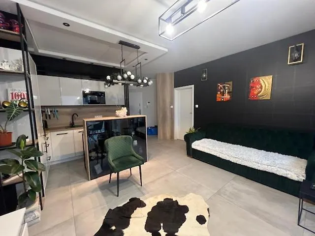 Apartment Towarowa - Milionowa 39 Check-in 24h *